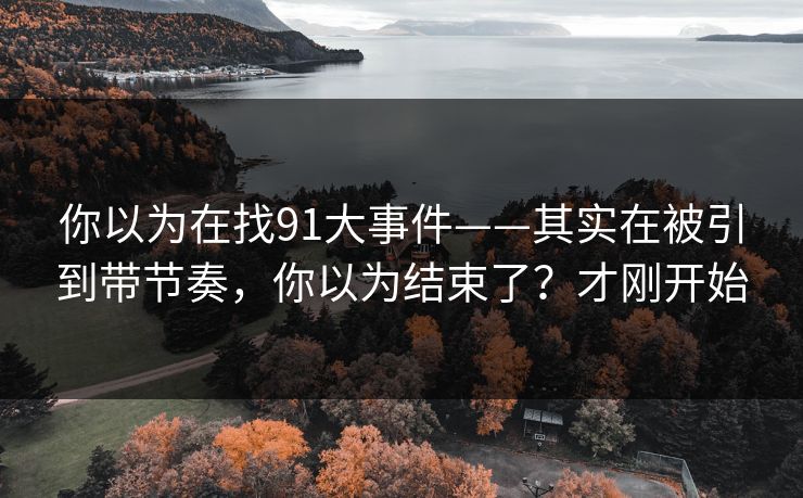 你以为在找91大事件——其实在被引到带节奏，你以为结束了？才刚开始